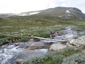 IMG_7161.JPG