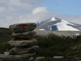 IMG_7164.JPG