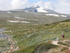 IMG_7168.JPG