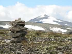 IMG_7177.JPG