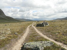 IMG_7181.JPG