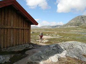 IMG_7185.JPG