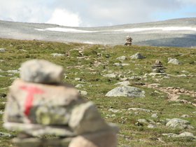 IMG_7188.JPG
