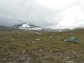 IMG_7197.JPG