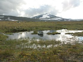 IMG_7213.JPG