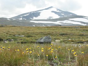 IMG_7215.JPG