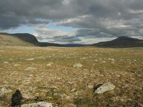 IMG_7218.JPG