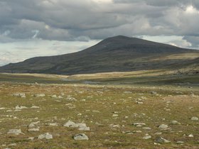 IMG_7222.JPG
