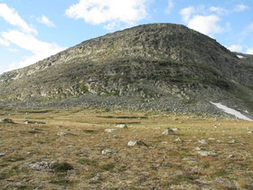 IMG_7226.JPG