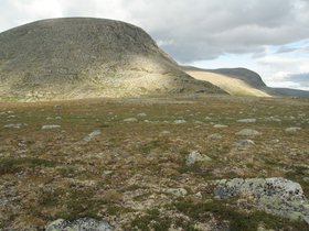 IMG_7229.JPG