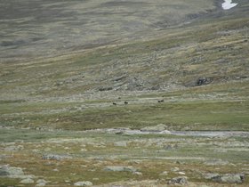 IMG_7231.JPG