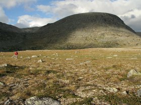 IMG_7233.JPG