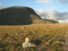 IMG_7242.JPG