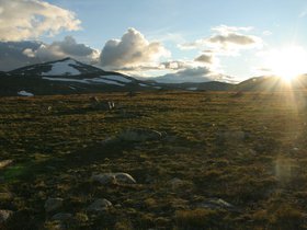 IMG_7244.JPG