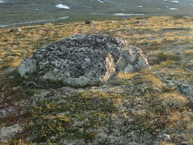 IMG_7246.JPG