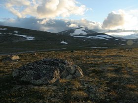 IMG_7247.JPG
