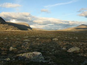 IMG_7249.JPG