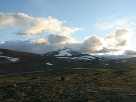 IMG_7253.JPG