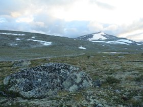 IMG_7255.JPG