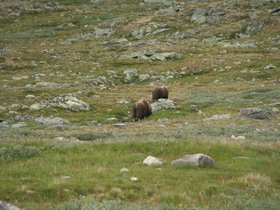 IMG_7261.JPG