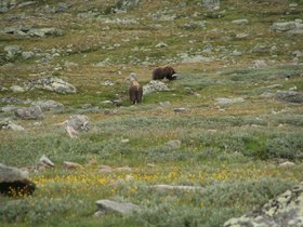 IMG_7262.JPG