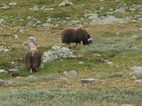 IMG_7263b.JPG