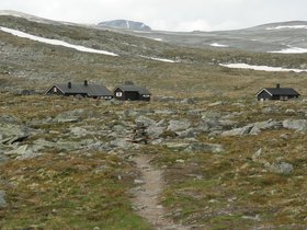 IMG_7266.JPG