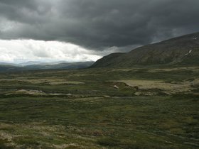 IMG_7292.JPG