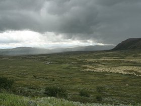 IMG_7294.JPG