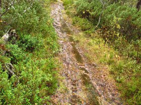 IMG_6887.JPG