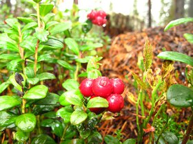 IMG_6892.JPG