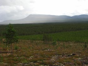 IMG_6916.JPG