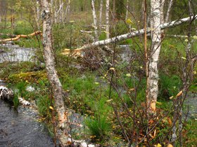 IMG_6933.JPG