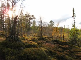 IMG_6953.JPG