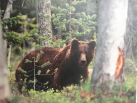 IMG_7026.JPG