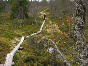 IMG_7035.JPG