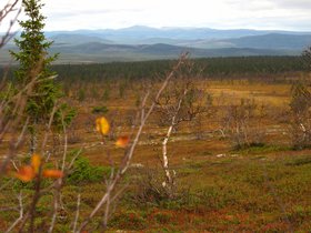 IMG_7040.JPG