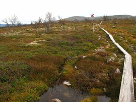 IMG_7041.JPG