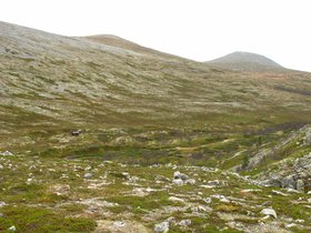 IMG_7054.JPG