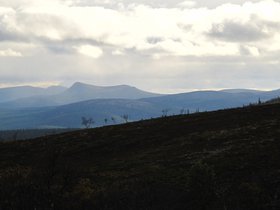 IMG_7094.JPG