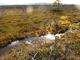 IMG_7157.JPG