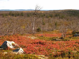 IMG_7173.JPG