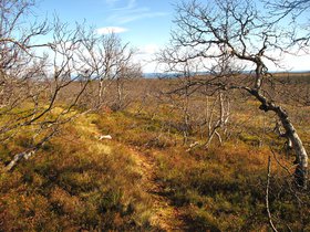 IMG_7177.JPG