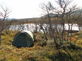 IMG_7203.JPG