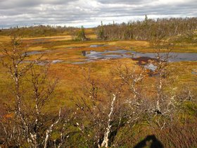 IMG_7216.JPG