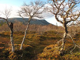 IMG_7242.JPG