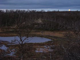 IMG_7268.JPG