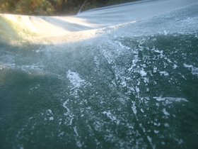 IMG_7279.JPG