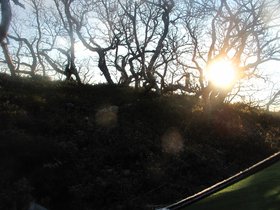 IMG_7280.JPG