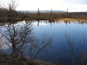 IMG_7284.JPG